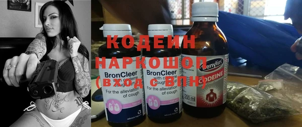 индика Лагань