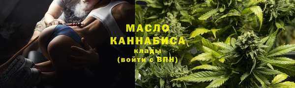 индика Лагань