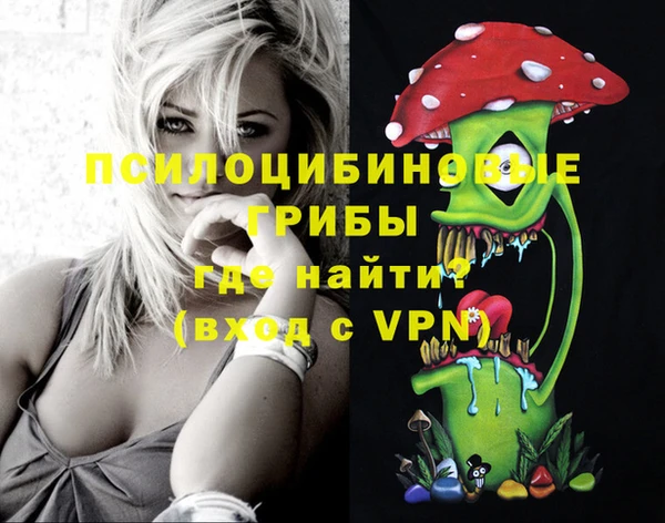a pvp Ладушкин
