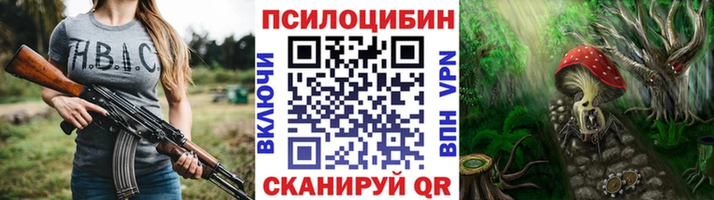 Псилоцибиновые грибы ЛСД Петровск-Забайкальский
